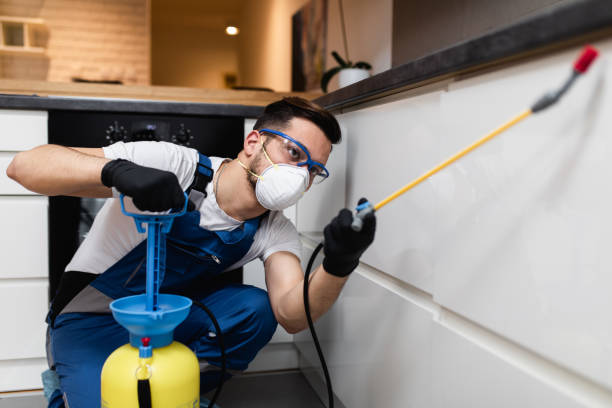 Trusted Sausalito, CA Pest Control Experts