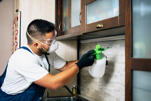 Best Pest Control Near Me  in Sausalito, CA