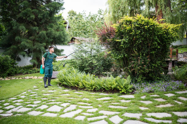 Best Best Pest Control Companies  in Sausalito, CA