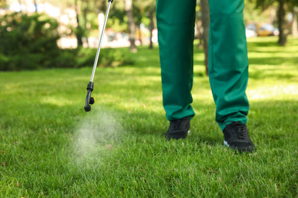 Best Pest Inspection Near Me  in Sausalito, CA