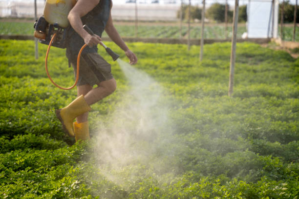 Best Wildlife Control Services  in Sausalito, CA