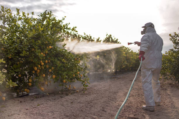 Best Commercial Pest Control Services  in Sausalito, CA