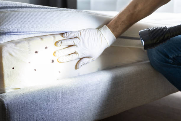 Best Exterminator Services  in Sausalito, CA