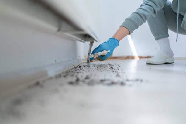 Best Pest Removal Services  in Sausalito, CA