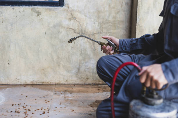 Best Termite Control Services  in Sausalito, CA